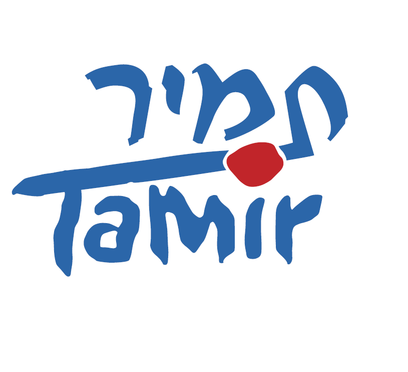 תמיר ליסינג